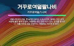 🌟거꾸로여덟팔나비: 네발나빗과의 곤충. 편 날개의 길이는 4.8cm이며, 봄에는 검은 갈색 바탕에 붉은 황... - 표준국어대사전