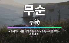 🌟무순: 저장하여 둔 무에서 자라난 순., 무씨에서 싹을 내어 기른 채소. - 표준국어대사전
