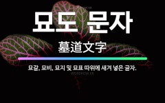 🌟묘도 문자: 묘갈, 묘비, 묘지 및 묘표 따위에 새겨 넣은 글자. - 표준국어대사전
