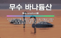 🌟무수 바나듐산: 오가 바나듐의 산화물. 바나듐의 산화물이나 바나듐 가루를 공기 중에서 가열하여 얻는 붉은... - 표준국어대사전