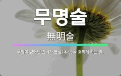🌟무명술: 무명이 빚어낸 번뇌가 본심(本心)을 흐리게 하는 일. - 표준국어대사전