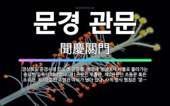 🌟문경 관문: 경상북도 문경시에 있는 옛 관문들. 예전에 영남에서 서울로 올라가는 중요한 길목의 하나였다.... - 표준국어대사전