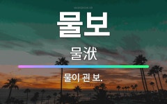 🌟물보: 물이 괸 보. - 표준국어대사전