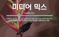🌟미디어 믹스: 신문이나 라디오, 잡지 또는 텔레비전과 같은 서로 다른 성격의 여러 가지 광고 매체를 적절... - 표준국어대사전