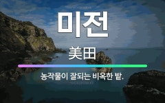 🌟미전: 농작물이 잘되는 비옥한 밭. - 표준국어대사전