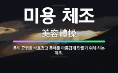🌟미용 체조: 몸의 균형을 바로잡고 몸매를 아름답게 만들기 위해 하는 체조. - 표준국어대사전