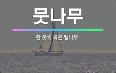 🌟뭇나무: 한 뭇씩 묶은 땔나무. - 표준국어대사전