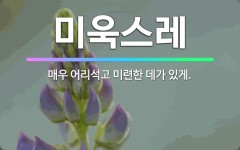 🌟미욱스레: 매우 어리석고 미련한 데가 있게. - 표준국어대사전