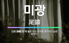 🌟미광: 선광(選鑛)할 때 쓸모 있는 광석을 골라내고 남은 찌꺼기. - 표준국어대사전