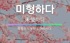 🌟미형하다: 똑똑하지 못하고 어리석다. - 표준국어대사전