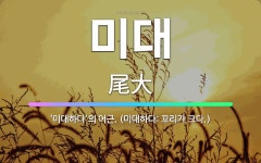 🌟미대: ‘미대하다’의 어근. (미대하다: 꼬리가 크다.) - 표준국어대사전
