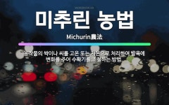 🌟미추린 농법: 농작물의 싹이나 씨를 고온 또는 저온으로 처리하여 발육에 변화를 주어 수확기를 조절하는 방법. - 표준국어대사전