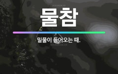 🌟물참: 밀물이 들어오는 때. - 표준국어대사전