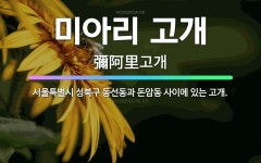 🌟미아리 고개: 서울특별시 성북구 동선동과 돈암동 사이에 있는 고개. - 표준국어대사전