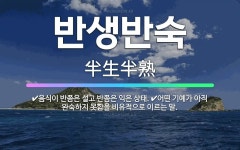 🌟반생반숙: 음식이 반쯤은 설고 반쯤은 익은 상태., 어떤 기예가 아직 완숙하지 못함을 비유적으로 이르는 말. - 표준국어대사전