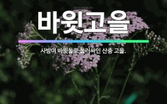 🌟바윗고을: 사방이 바윗돌로 둘러싸인 산중 고을. - 표준국어대사전