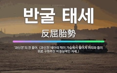 🌟반굴 태세: ‘과신전’의 전 용어. (과신전: 태아의 턱이 가슴에서 떨어져 머리와 등이 위로 구부러진 비... - 표준국어대사전