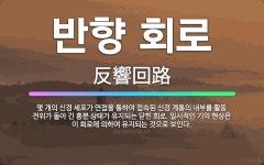 🌟반향 회로: 몇 개의 신경 세포가 연접을 통하여 접속된 신경 계통의 내부를 활동 전위가 돌아 긴 흥분 상... - 표준국어대사전