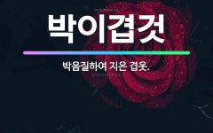 🌟박이겹것: 박음질하여 지은 겹옷. - 표준국어대사전