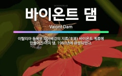🌟바이온트 댐: 이탈리아 동북부 피아베강의 지류(支流) 바이온트 계류에 만들어진 아치 댐. 1960년에 완... - 표준국어대사전