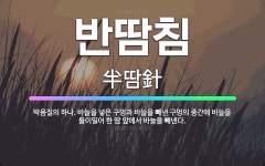 🌟반땀침: 박음질의 하나. 바늘을 넣은 구멍과 바늘을 빼낸 구멍의 중간에 바늘을 들이밀어 한 땀 앞에서 바... - 표준국어대사전