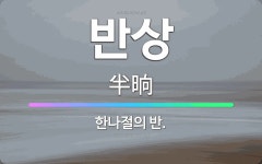 🌟반상: 한나절의 반. - 표준국어대사전