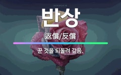 🌟반상: 꾼 것을 되돌려 갚음. - 표준국어대사전