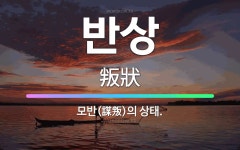 🌟반상: 모반(謀叛)의 상태. - 표준국어대사전