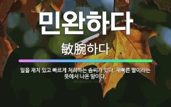 🌟민완하다: 일을 재치 있고 빠르게 처리하는 솜씨가 있다. 재빠른 팔이라는 뜻에서 나온 말이다. - 표준국어대사전
