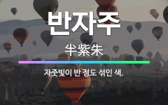 🌟반자주: 자줏빛이 반 정도 섞인 색. - 표준국어대사전