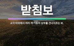 🌟받침보: 교각 따위에서 여러 개 기둥의 상부를 건너지르는 보. - 표준국어대사전