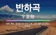 🌟반하곡: 반하, 백반, 생강을 섞어 만든 누룩. 습병(濕病)을 없애는 데 쓴다. - 표준국어대사전