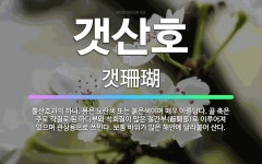 🌟갯산호: 뿔산호과의 하나. 몸은 노란색 또는 붉은색이며 매우 아름답다. 골 축은 주로 각질로 된 마디부와... - 표준국어대사전