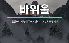 🌟바위울: 바닷물이나 바람에 깎여서 울타리 모양으로 된 바위. - 표준국어대사전