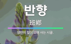 🌟반향: 양반이 많이 모여 사는 시골. - 표준국어대사전