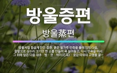 🌟방울증편: 방울처럼 둥글게 만든 증편. 묽은 쌀가루 반죽을 틀에 앉힌 다음, 꿀팥으로 상수리 크기만 한 ... - 표준국어대사전