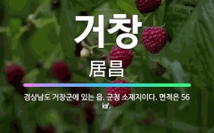 🌟거창: 경상남도 거창군에 있는 읍. 군청 소재지이다. 면적은 56㎢. - 표준국어대사전