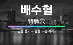🌟배수혈: 침을 놓거나 뜸을 뜨는 자리. - 표준국어대사전