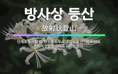 🌟방사상 등산: 단체로 등산할 때, 한곳에 모두 모여 그곳을 근거지로 삼고 주위의 산들을 차례로 오르는 방식. - 표준국어대사전