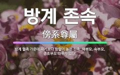 🌟방계 존속: 방계 혈족 가운데 자기보다 항렬이 높은 친족. 백부모, 숙부모, 종조부모 따위가 있다. - 표준국어대사전