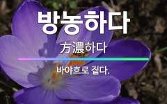 🌟방농하다: 바야흐로 짙다. - 표준국어대사전