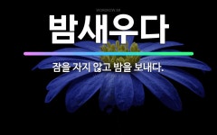 🌟밤새우다: 잠을 자지 않고 밤을 보내다. - 표준국어대사전