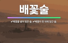 🌟배꽃술: 배꽃을 넣어 빚은 술., 배꽃이 핀 뒤에 담근 술. - 표준국어대사전