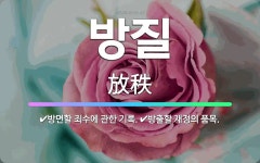 🌟방질: 방면할 죄수에 관한 기록., 방출할 재정의 품목. - 표준국어대사전