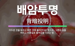 🌟배암투명: 어두운 것을 등지고 밝은 것에 들어선다는 뜻으로, 그릇된 길을 버리고 바른길로 들어감을 이르는 말. - 표준국어대사전