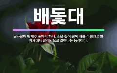 🌟배돛대: 남사당패 땅재주 놀이의 하나. 손을 짚어 땅에 배를 수평으로 한 자세에서 팔심만으로 일어나는 동... - 표준국어대사전