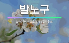 🌟발노구: 놋쇠나 구리로 만든, 발이 달린 작은 솥. - 표준국어대사전