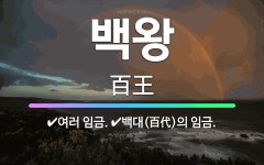 🌟백왕: 여러 임금., 백대(百代)의 임금. - 표준국어대사전