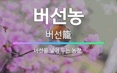 🌟버선농: 버선을 넣어 두는 농장. - 표준국어대사전