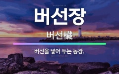 🌟버선장: 버선을 넣어 두는 농장. - 표준국어대사전